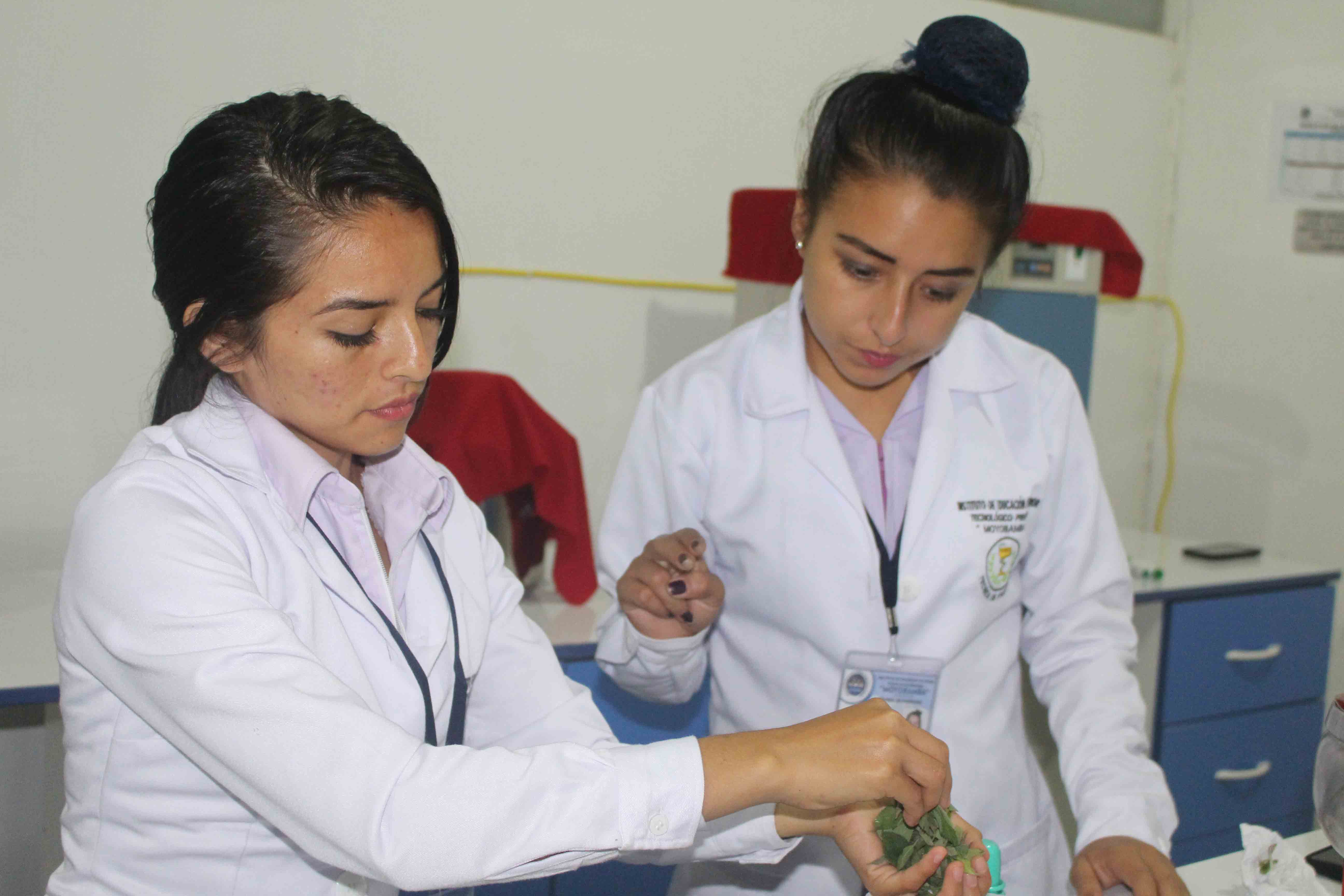 Módulo 3 Farmacia